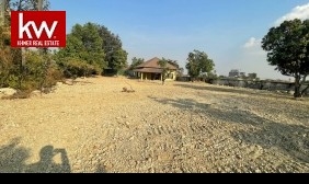 Land For Rent